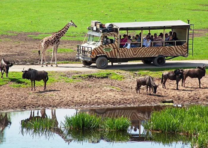 Hotel Zur Heidebluete Hambuhren